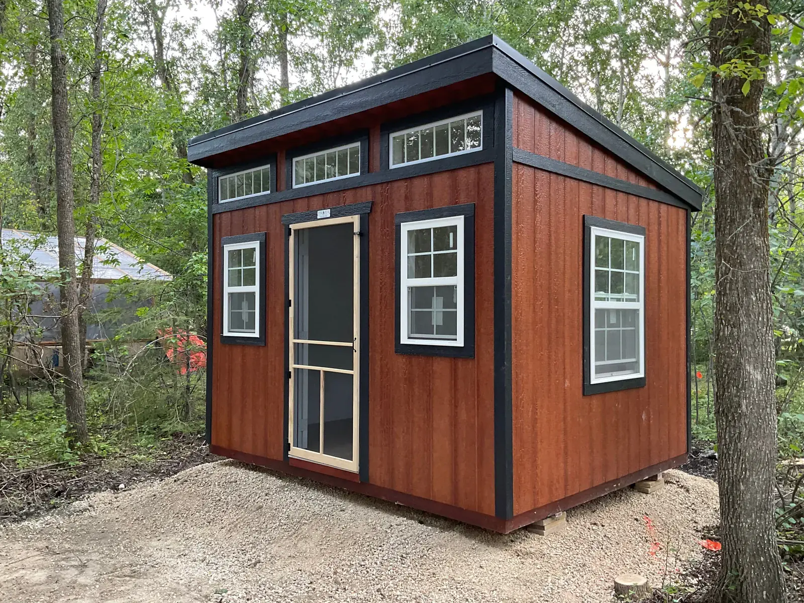 A warm wood-toned modern slant roof studio shed with black trim, a screen front door, and upper transom windows set in a wooded area in Dallas, TX.