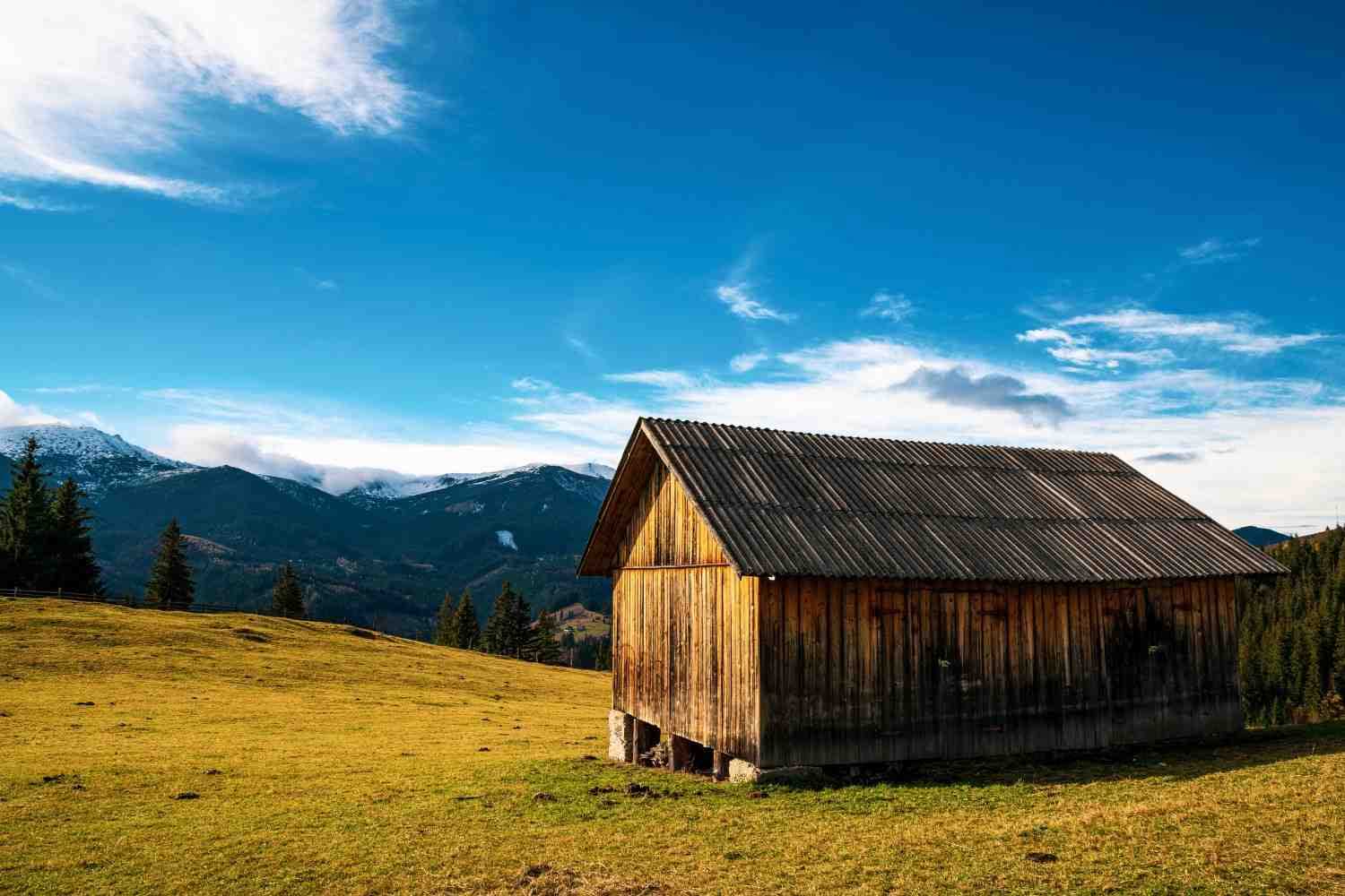 beautiful-forests-covering-the-carpathian-mountain-2026-03-18-05-01-17-utc