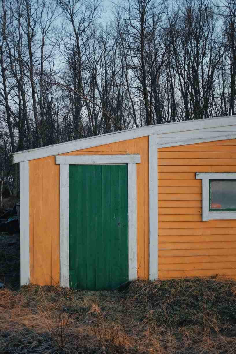 rustic-shed-in-a-nordic-forest-landscape-2026-03-17-09-02-36-utc
