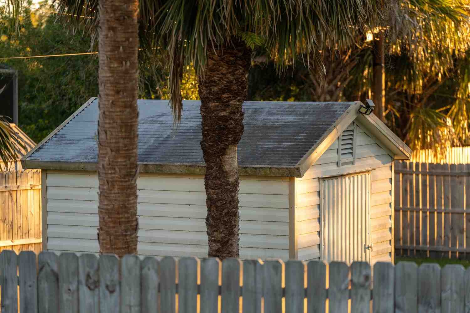 small-white-garden-shed-tucked-behind-palm-trees-a-2026-07-24-16-58-49-utc